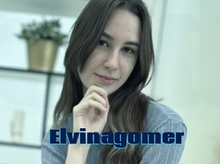 Elvinagomer