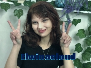 Elwinacloud