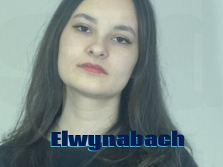 Elwynabach