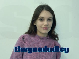 Elwynadudley