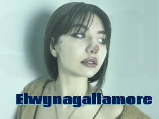 Elwynagallamore