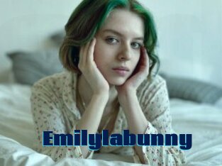 Emilylabunny