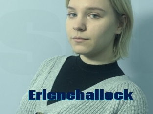 Erlenehallock