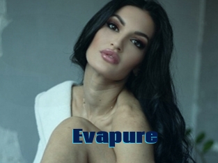 Evapure