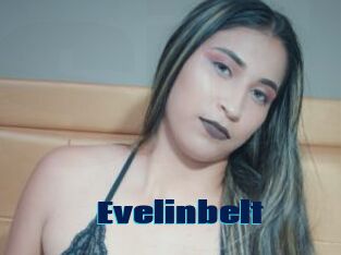 Evelinbelt