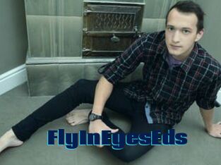 FlyInEyesEds