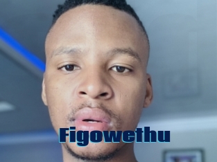 Figowethu