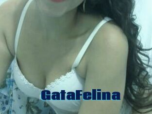 GataFelina