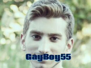 GayBoy55