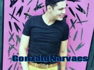 GonzaloNarvaes