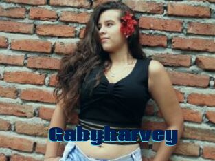 Gabyharvey