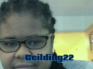 Geilding22