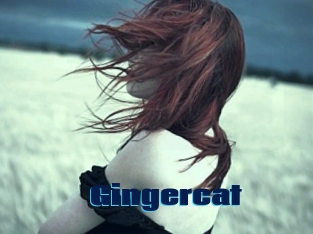 Gingercat