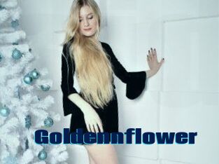 Goldennflower