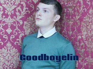 Goodboyelin