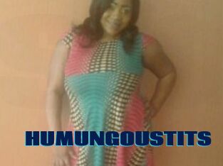 HUMUNGOUSTITS