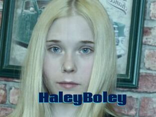 HaleyBoley