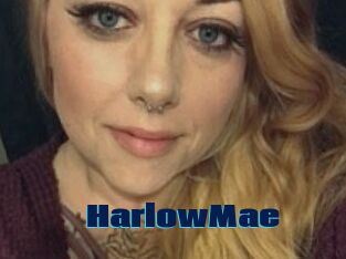 Harlow_Mae