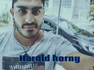 Harold_horny