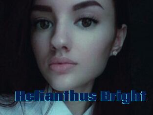 Helianthus_Bright