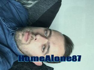 HomeAlone87