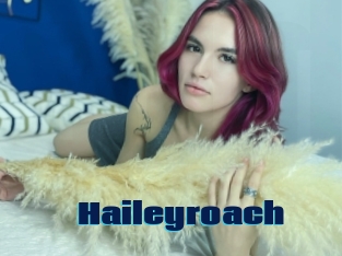 Haileyroach