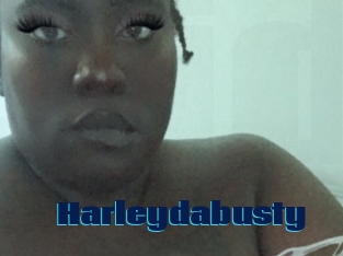 Harleydabusty