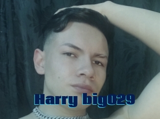 Harry_big029