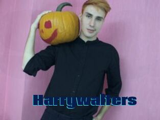 Harrywalters