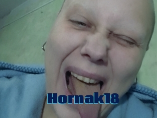 Hornak18