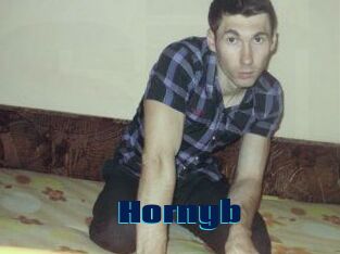 Hornyb