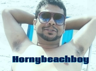 Hornybeachboy