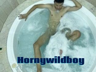 Hornywildboy