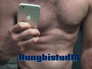Hungbistud18
