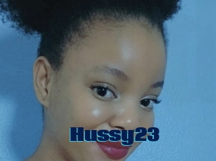 Hussy23