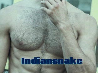 Indiansnake