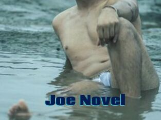 Joe_Novel