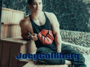 JoeyGoldberg