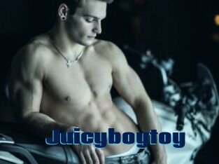 Juicyboytoy