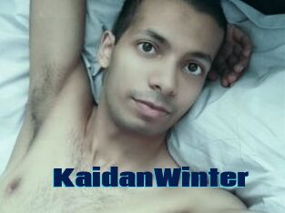 KaidanWinter