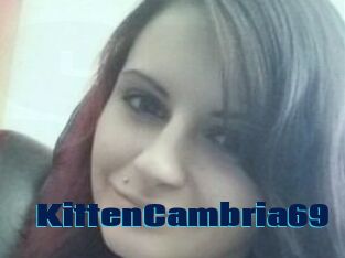 KittenCambria69