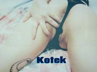 Kotek