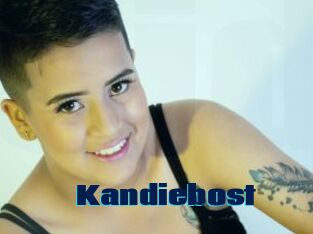 Kandiebost