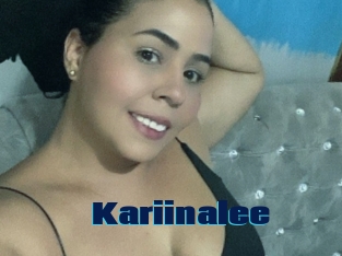 Kariinalee