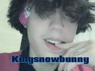 Kingsnowbunny