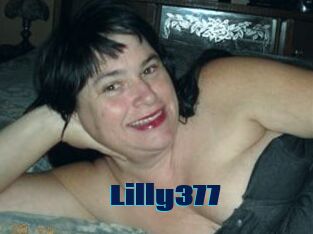 Lilly377