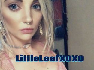 LittleLeafXOXO