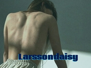 Larssondaisy