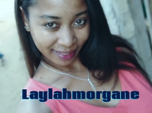 Laylahmorgane