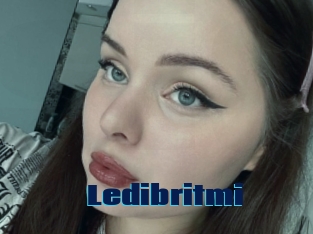 Ledibritmi